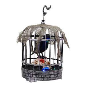 Home Accents Holiday 10 in. Animated Talking Raven in Cage with Skull-6346-13817HD 206770875