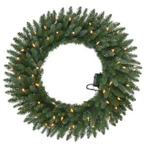 Home Accents Holiday 30 in. Battery Operated Meadow Artificial Wreath with 50 Clear LED Lights-GD26P2581L00 206771041