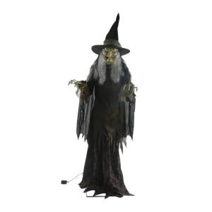 Home Accents Holiday 84 in. Lanky Witch-5124358 206766585
