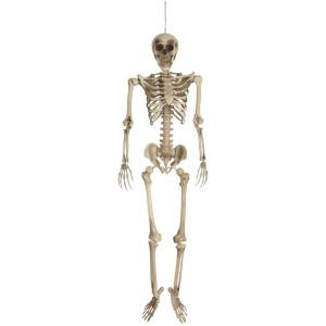 Martha Stewart Living 65 in. Plastic Hanging Skeleton-9295900810 300135838
