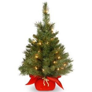 National Tree Company 24 in. Majestic Fir Tree with Clear Lights-MJ3-24RDLO-1 300478228