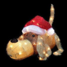 20 in. H Pre-Lit Clear Mini Lights Christmas Greeting Puppy-56526075X 204475662