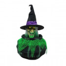 23.9 in. Animated Cauldron Witch with Fog Hose-5122766 206771314