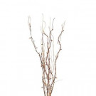 36 in. Battery Operated LED Lighted Natural Willow Branches-41656 206640209