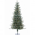 6 ft. Pre-Lit Bridgeport Pine Artificial Christmas Tree with Clear Lights-5838--60C 300620026