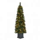 6 ft. Pre-Lit LED Alexander Fir Artificial Christmas Potted Tree x 457 Tips with 150 UL Indoor/Outdoor Warm White Lights-TV60M5311L01 206795494