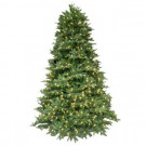 7.5 ft. Pre-Lit LED Balsam Fir Artificial Christmas Tree with Warm White Lights-4201101-IP51HO 206771117