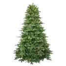 7.5 ft. Pre-Lit LED Royal Fraser Fir Artificial Christmas Tree with Warm White Lights-4205101-IP51HO 206771077