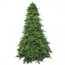 9 ft. Pre-Lit LED Royal Fraser Fir Artificial Christmas Tree with Warm White Lights-4205102-IP51HO 206771010