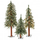Gerson 2 ft., 3 ft., and 4 ft. Pre Lit Alpine Artificial Christmas Trees with Metal Base (Set of 3)-2267170 300373549