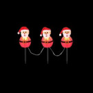 Home Accents Holiday 19 in. 3-Light Santa Pathway Lights (Set of 3)-TYY796-1616 206954493