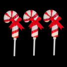 Home Accents Holiday 19 in. Frosted Candy Cane Pathway Marker-4201-19671HDD 206963334