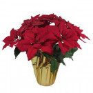 Home Accents Holiday 21 in. Red Glittered Silk Poinsettia Arrangement (Case of 6)-03X0190R14-RED 206949825