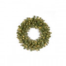 Home Accents Holiday 26 in. Pre-Lit LED Downswept Douglas Wreath with Clear Lights-PEDD1-312LV-26W 202874392