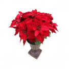 Home Accents Holiday Christmas 26 in. Velvet Poinsettia in Urn-65X6439 206963143