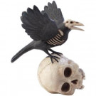 Home Decorators Collection 11.5 in. Haunted Raven on Skull-9715500210 300126840