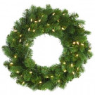 Martha Stewart Living 24 in. LED Pre-Lit Downswept Douglas Fir Artificial Christmas Wreath-9316600610 206497390