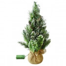 Martha Stewart Living 24 in. Pre-lit LED Glittery Bristle Pine Artificial Table Tree-9317800610 206497588