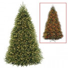 National Tree Company 10 ft. Dunhill Fir Artificial Christmas Tree with Dual Color LED Lights-DUH-330LD-10S 205330632