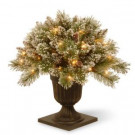National Tree Company 1.5 ft. Glittery Bristle Pine Porch Artificial Bush with Clear Lights-GB3-306-18P 300120611