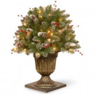 National Tree Company 2 ft. Glittery Mountain Spruce Porch Artificial Bush with Clear Lights-GLM1-300-24P 300120627