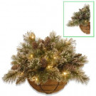 National Tree Company 20 in. Glittery Bristle Pine Wall Decor with Battery Operated Warm White LED Lights-GB3-300-20D-B1 300487220
