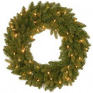 National Tree Company 24 in. Avalon Spruce Artificial Wreath with Clear Lights-PEAV7-300-24W-1 300182937