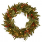 National Tree Company 24 in. Classical Collection Artificial Wreath with Battery Operated Warm White LED Lights-PECC3-300-24WB1 300154634