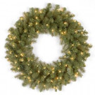 National Tree Company 24 in. Downswept Douglas Artificial Wreath with Clear Lights-PEDD1-312-24W-1 300182939