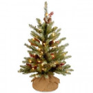 National Tree Company 24 in. Dunhill Fir Tree with Battery Operated Warm White LED Lights-DUF-300-20-B1 300478165