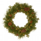 National Tree Company 24 in. Eastwood Spruce Artificial Wreath with Battery Operated Warm White LED Lights-PEEW3-300-24WB1 300154628