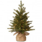 National Tree Company 24 in. Feel-Real Nordic Spruce Tree with Clear Lights-PENS1-333-20-1 300478241