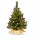 National Tree Company 24 in. Majestic Fir Tree with Clear Lights-MJ3-24GDLO-1 300478200