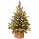 National Tree Company 24 in. Snowy Concolor Fir Tree with Battery Operated LED Lights-SR1-328-20-B1 300478180