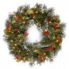 National Tree Company 24 in. Wintry Pine Artificial Wreath with Clear Lights-WP1-300-24W-1 300182789