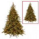 National Tree Company 6 ft. Frasier Grande Artificial Christmas Tree with Dual Color LED Lights-PEFG4-330LD-60 205331395
