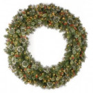 National Tree Company 60 in. Wintry Pine Artificial Wreath with 300 Clear Lights-WP1-300-60W 205982354