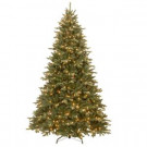 National Tree Company 7-1/2 ft. Feel Real Ashfield Frosted Fir Hinged Artificial Christmas Tree with 750 Clear Lights-PEAF3-300-75 207183215