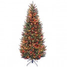 National Tree Company 7-1/2 ft. Natural Fraser Slim Fir Hinged Artificial Christmas Tree with 600 Multicolor Lights-NAFFSLH1-75RLO 207183200
