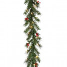 National Tree Company 9 ft. Noble Artificial Garland with 50 Clear Lights-DC3-162L-9B 206084817