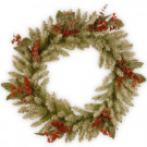 National Tree Company Decorative Collection Eucalyptus 24 in. Artificial Wreath with Clear Lights-DC3-183L-24W 300154660