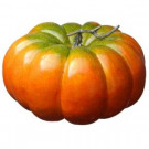 National Tree Company Harvest Accessories 15 in. Pumpkin Decor Pack-RAHV-D060278 207123473
