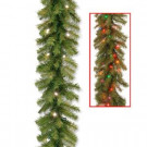 Norwood Fir 9 ft. Garland with Battery Operated Dual Color LED Lights-NF-304D-9AB-1 300330647
