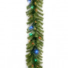 Norwood Fir 9 ft. Garland with Multicolor LED Lights-NF-309L-9A-1 300330650