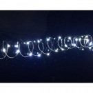 Novolink 20-Light Cool White LED Battery Operated String Light with 3.4 ft. Silver Wire-SW-CW20 300188358
